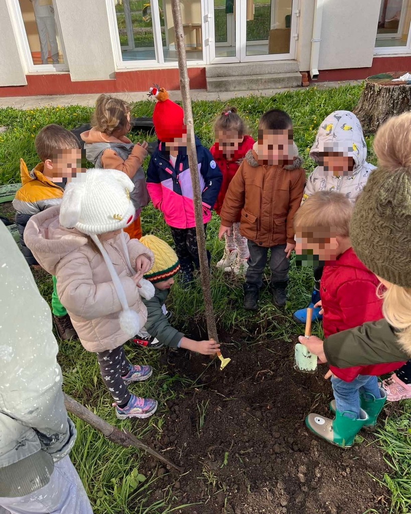 JPEG 20251203 143643 8746525899988543403