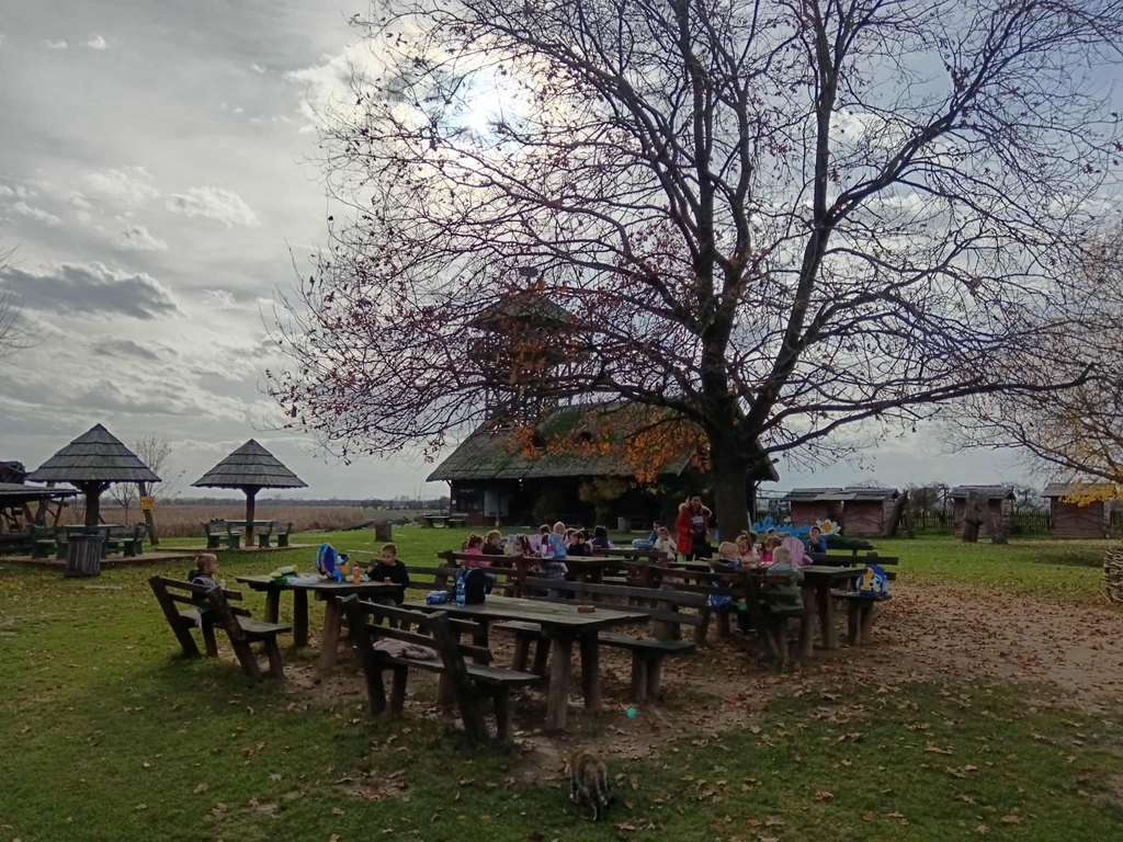 JPEG 20251118 153211 8180221826736405947