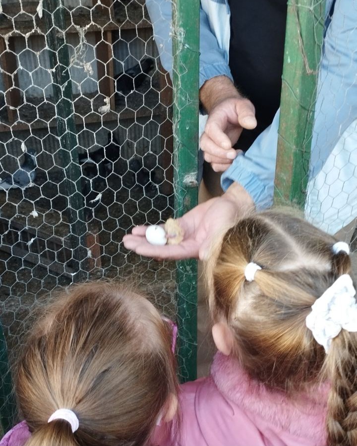 IMG f44c95e044ea1ee13525a6f2216f9ace V