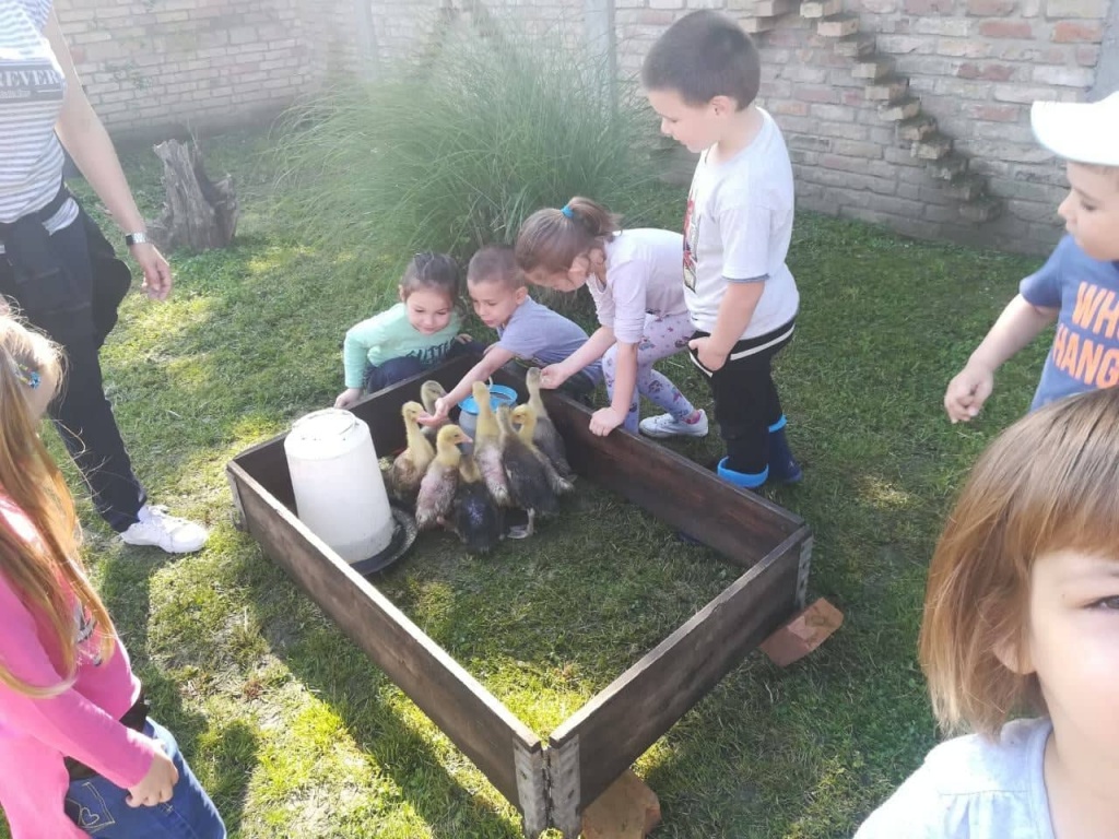 61760055 2235332843249622 900586489430147072 n